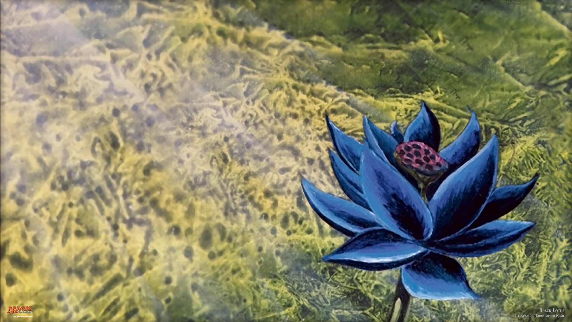 Signed Artist Proof Beta Black Lotus Sells For Over $600,000 At Auction