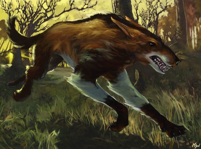 Mongrel Raging The Madness Archetype And Its Use In Magic Cubes - Star City Games