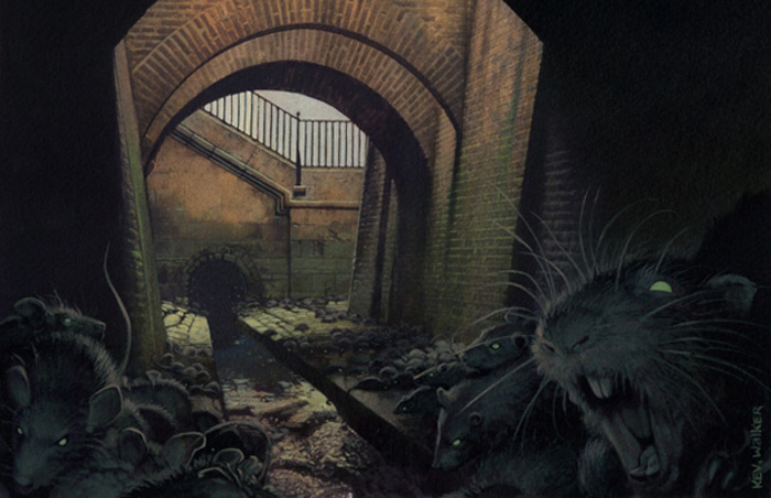 New Limited Championship Event Coming To MTG Arena Next Year